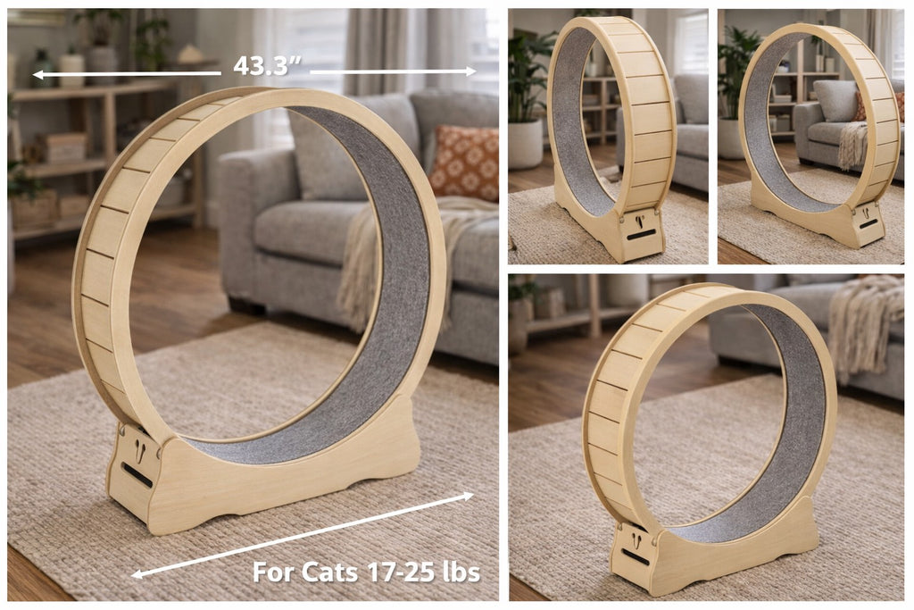 Interactive Cat Wheel